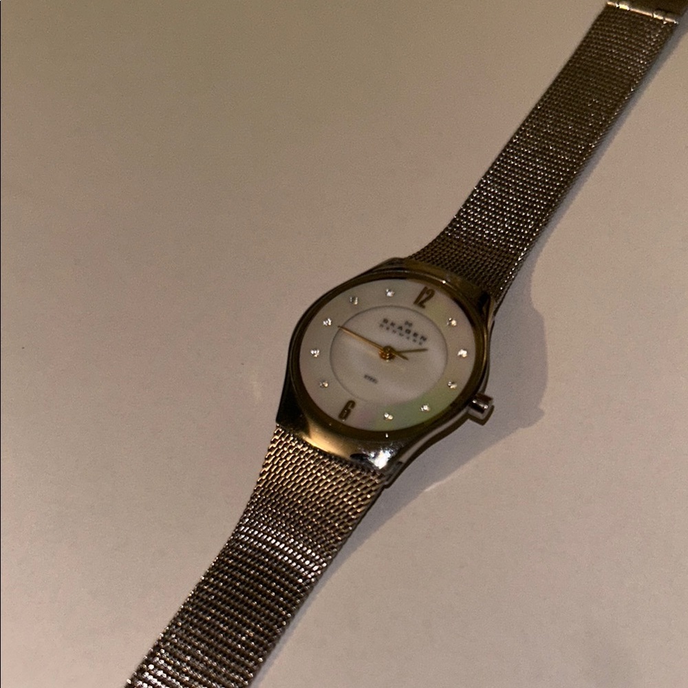 Skagen Silver Mother of Pearl Stainless Steel Ladies Wrist Watch